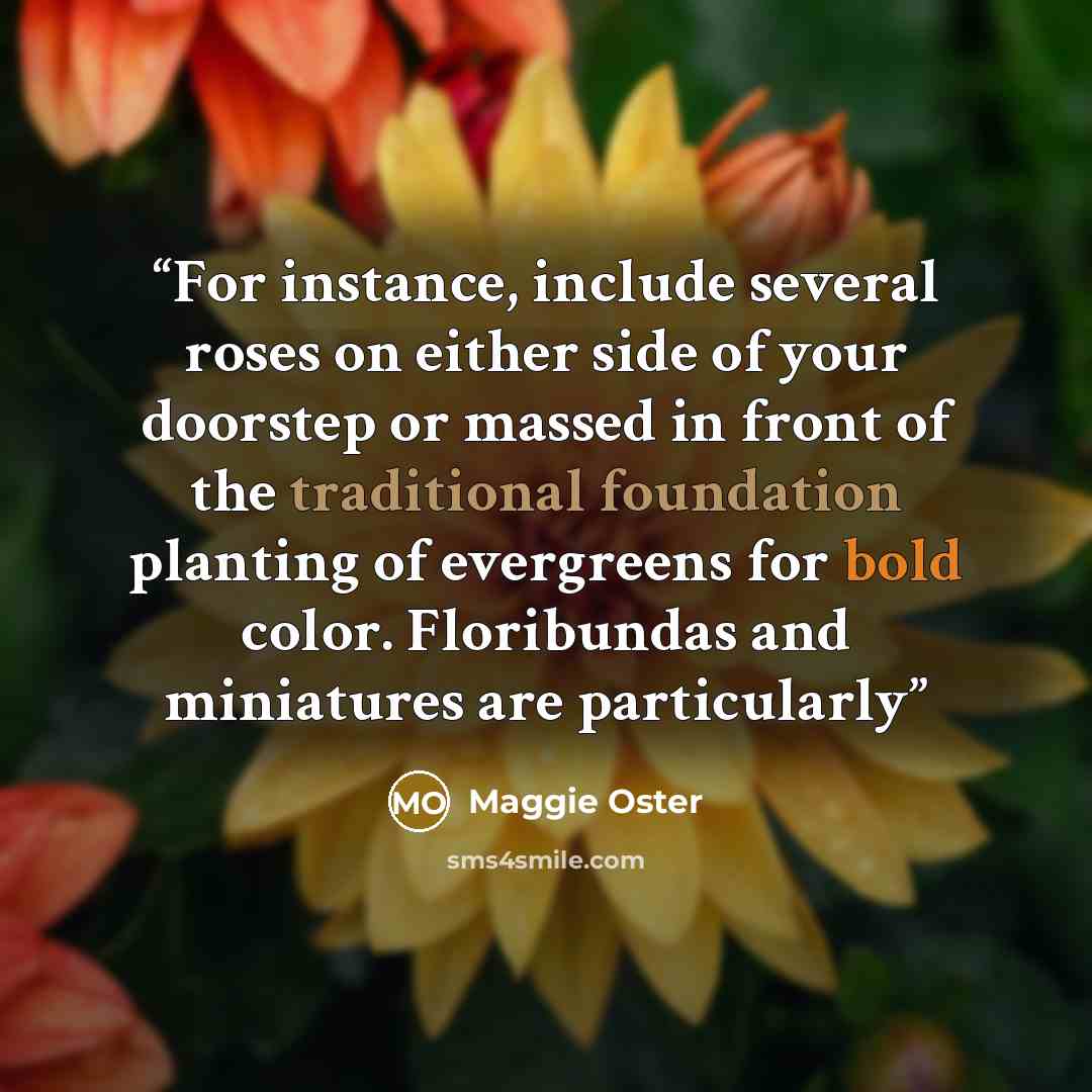 “For instance, include several roses on either side of your doorstep or massed in front of the traditional foundation planting of evergreens for bold color. Floribundas and miniatures are particularly” quote by Maggie Oster