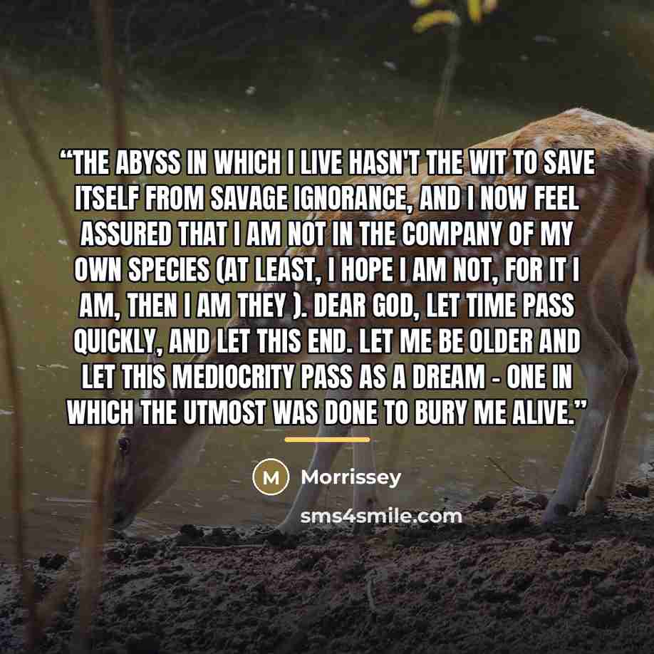 “The abyss in which I live hasn't the wit to save itself from savage ignorance, and I now feel assured that I am not in the company of my own species (at least, I hope I am not, for it I am, then I am they ). Dear God, let time pass quickly, and let this end. Let me be older and let this mediocrity…” quote by Morrissey