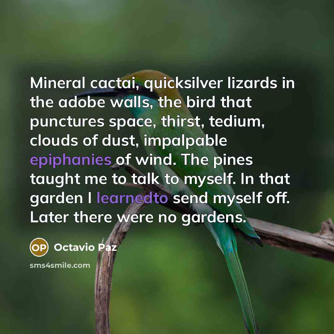 “Mineral cactai, quicksilver lizards in the adobe walls, the bird that punctures space, thirst, tedium, clouds of dust, impalpable epiphanies of wind. The pines taught me to talk to myself. In that garden I learnedto send myself off. Later there were no gardens.” quote by Octavio Paz