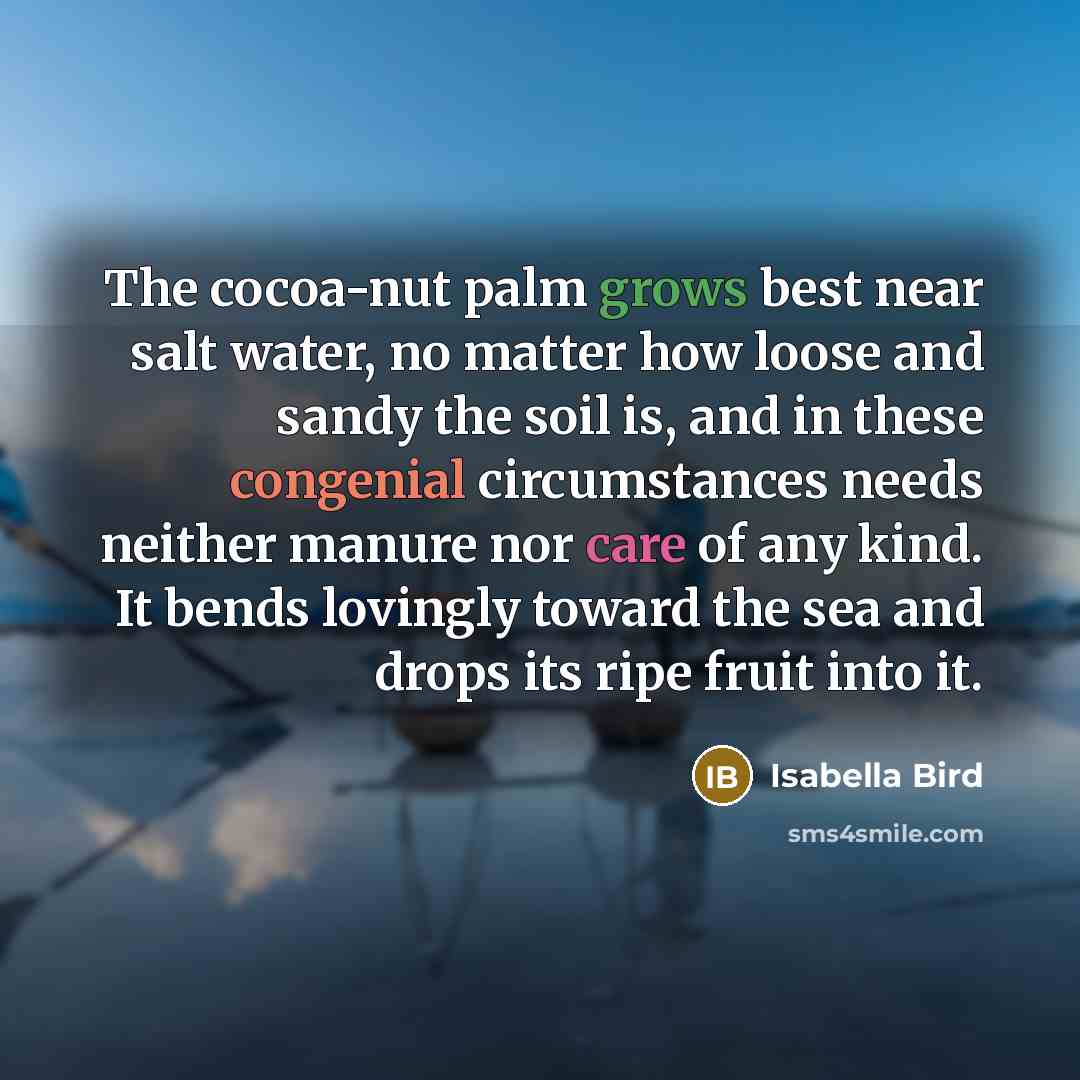 “The cocoa-nut palm grows best near salt water, no matter how loose and sandy the soil is, and in these congenial circumstances needs neither manure nor care of any kind. It bends lovingly toward the sea and drops its ripe fruit into it.” quote by Isabella Bird