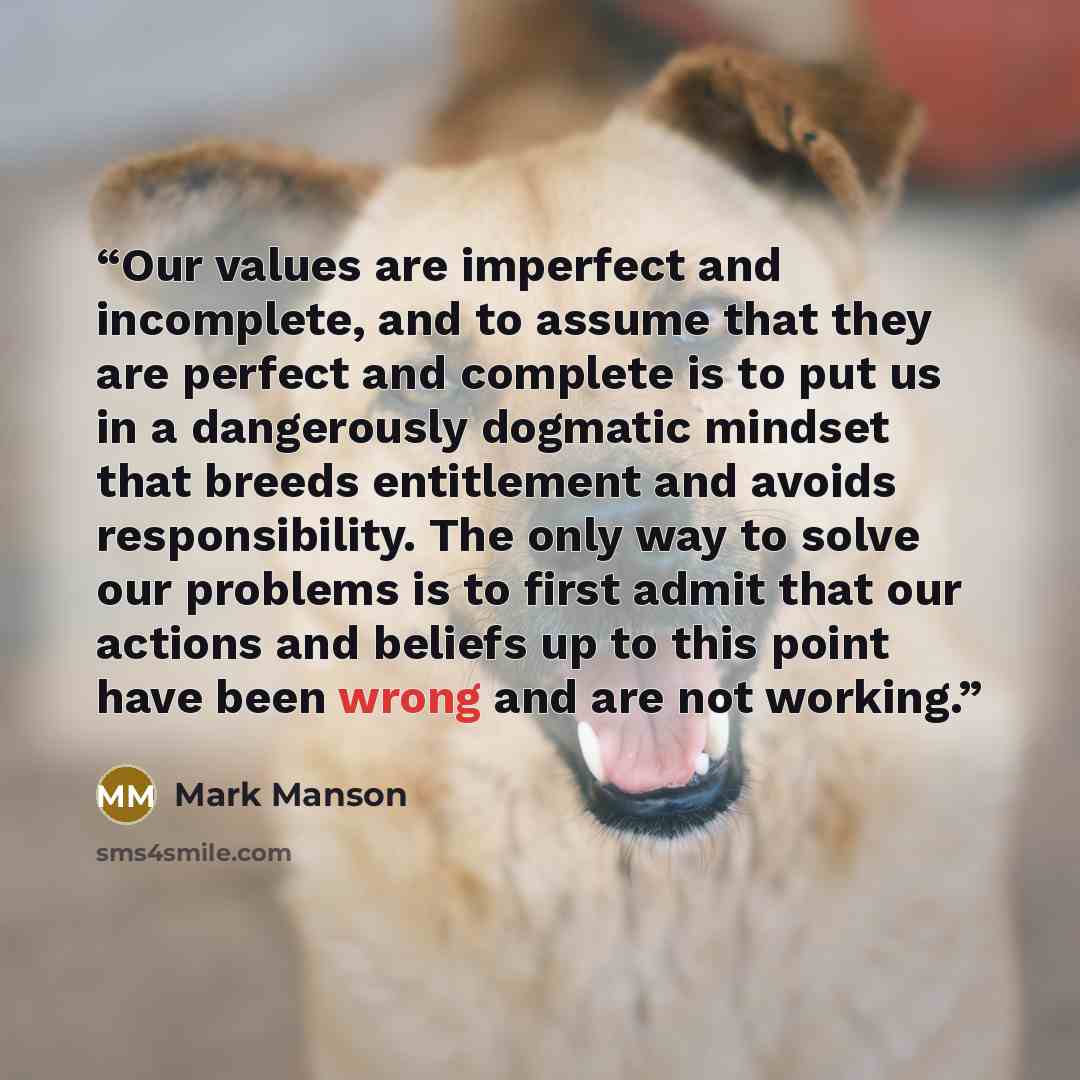 “Our values are imperfect and incomplete, and to assume that they are perfect and complete is to put us in a dangerously dogmatic mindset that breeds entitlement and avoids responsibility. The only way to solve our problems is to first admit that our actions and beliefs up to this point have been…” quote by Mark Manson