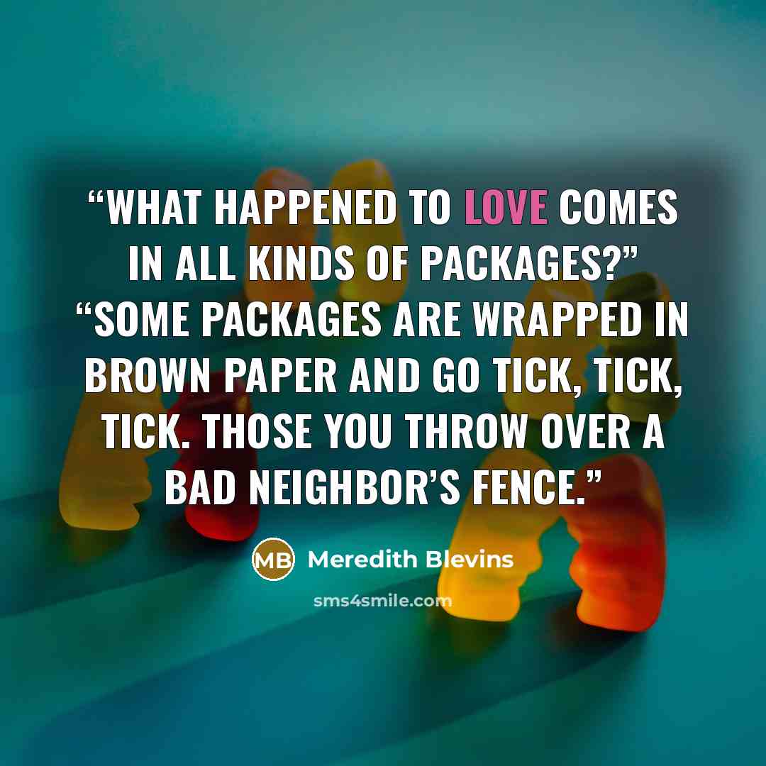“What happened to Love comes in all kinds of packages?” “Some packages are wrapped in brown paper and go tick, tick, tick. Those you throw over a bad neighbor’s fence.” quote by Meredith Blevins