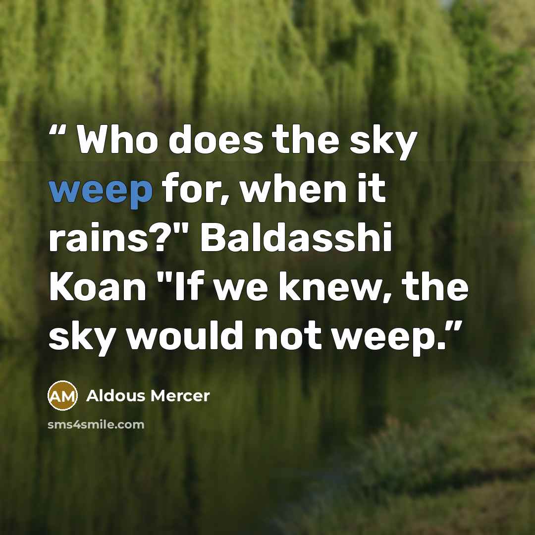 “Who does the sky weep for, when it rains?" Baldasshi Koan "If we knew, the sky would not weep.” quote by Aldous Mercer