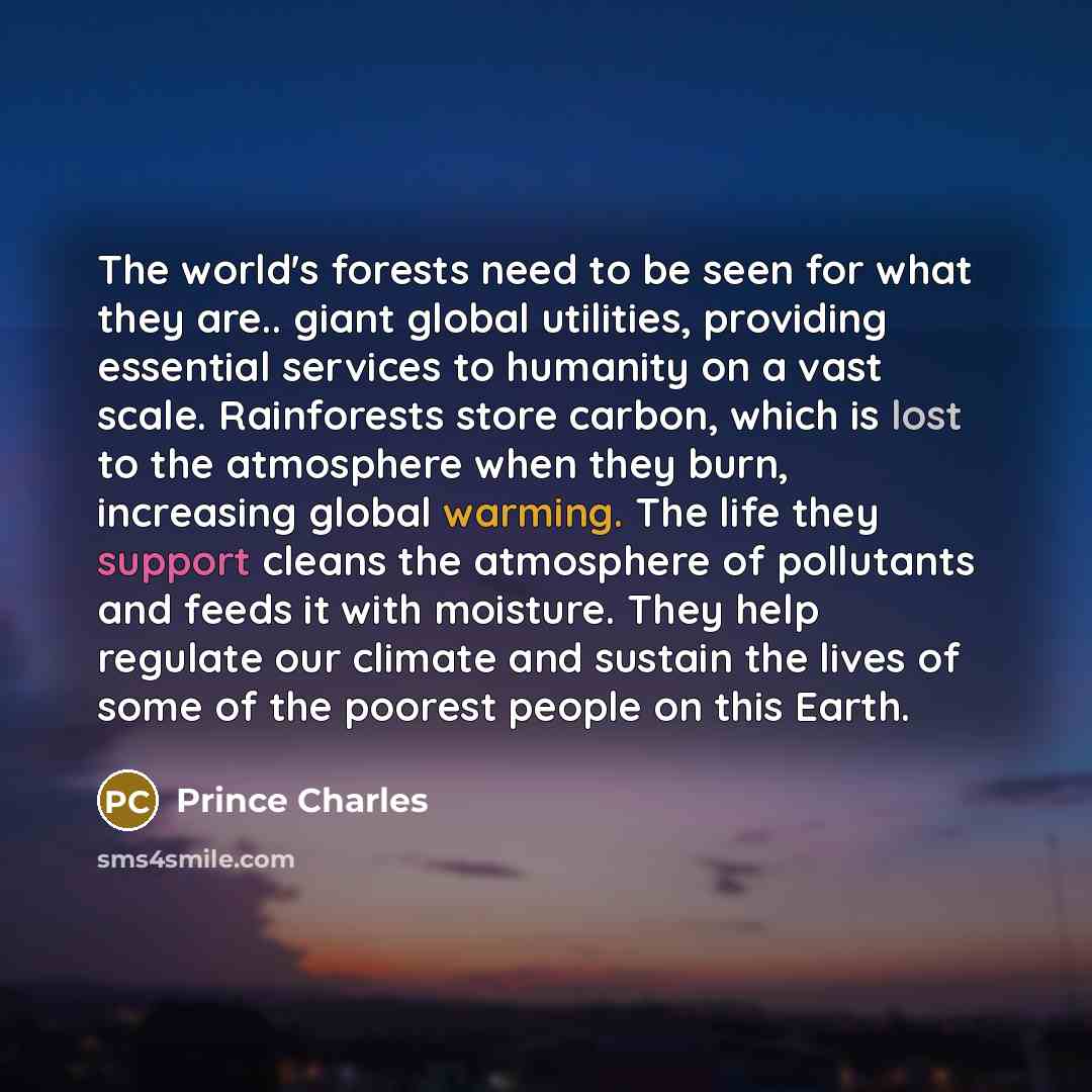 “The world's forests need to be seen for what they are.. giant global utilities, providing essential services to humanity on a vast scale. Rainforests store carbon, which is lost to the atmosphere when they burn, increasing global warming. The life they support cleans the atmosphere of pollutants…” quote by Prince Charles
