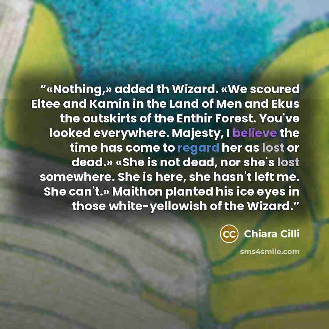 “«Nothing,» added th Wizard. «We scoured Eltee and Kamin in the Land of Men and Ekus the outskirts of the Enthir Forest. You've looked everywhere. Majesty, I believe the time has come to regard her as lost or dead.» «She is not dead, nor she's lost somewhere. She is here, she hasn't left me. She…” quote by Chiara Cilli