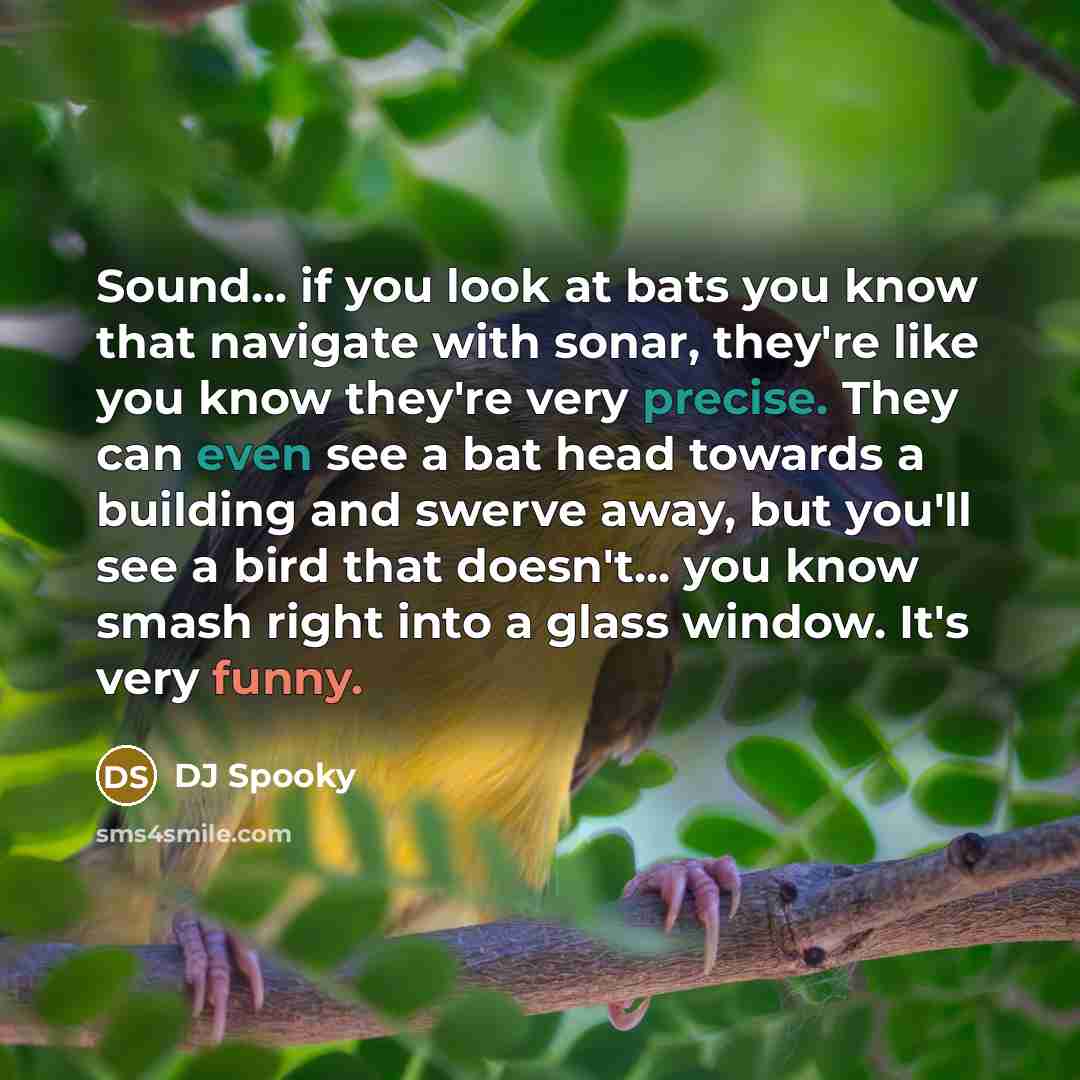 “Sound... if you look at bats you know that navigate with sonar, they're like you know they're very precise. They can even see a bat head towards a building and swerve away, but you'll see a bird that doesn't... you know smash right into a glass window. It's very funny.” quote by DJ Spooky