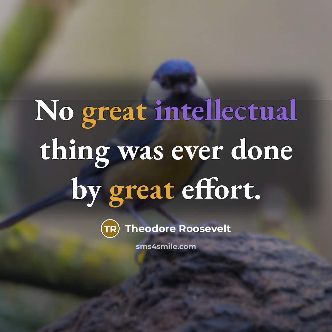 “No great intellectual thing was ever done by great effort.” quote by Theodore Roosevelt