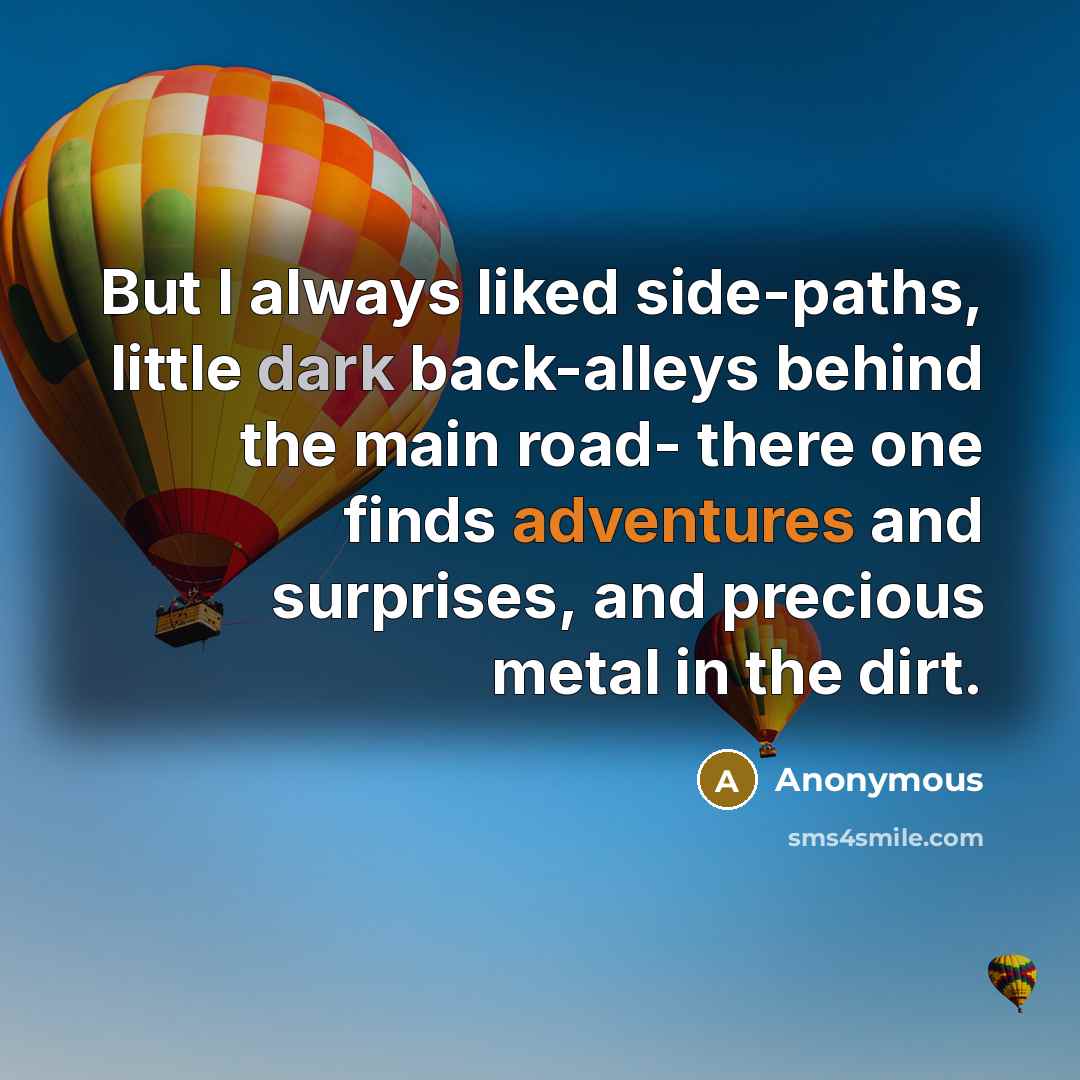 “But I always liked side-paths, little dark back-alleys behind the main road- there one finds adventures and surprises, and precious metal in the dirt.” quote by Anonymous