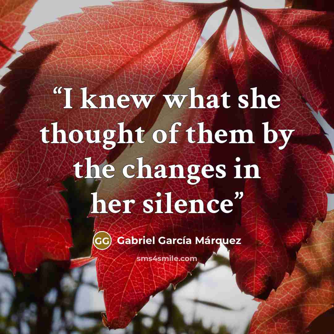 “I knew what she thought of them by the changes in her silence” quote by Gabriel García Márquez