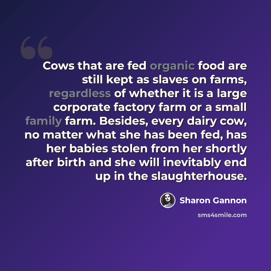 “Cows that are fed organic food are still kept as slaves on farms, regardless of whether it is a large corporate factory farm or a small family farm. Besides, every dairy cow, no matter what she has been fed, has her babies stolen from her shortly after birth and she will inevitably end up in the…” quote by Sharon Gannon