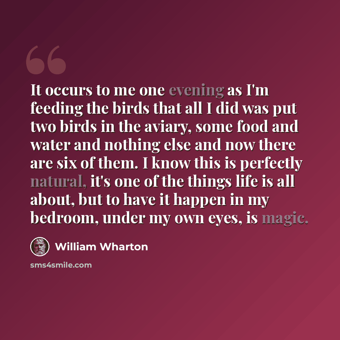 “It occurs to me one evening as I'm feeding the birds that all I did was put two birds in the aviary, some food and water and nothing else and now there are six of them. I know this is perfectly natural, it's one of the things life is all about, but to have it happen in my bedroom, under my own…” quote by William Wharton