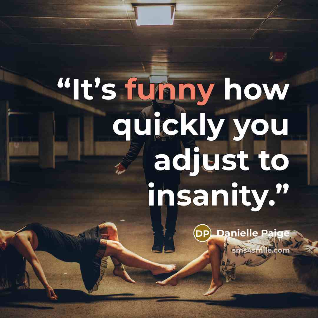 “It’s funny how quickly you adjust to insanity.” quote by Danielle Paige
