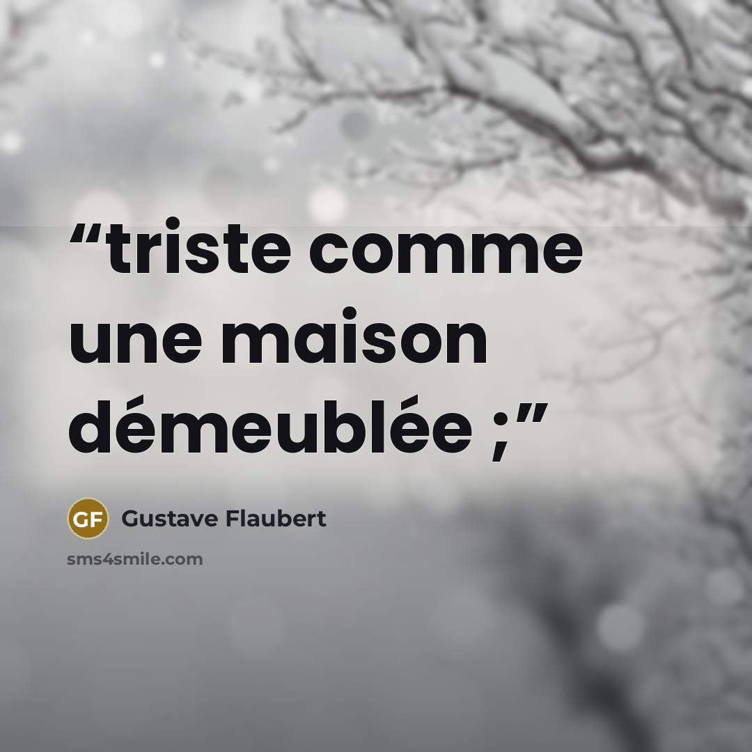 “triste comme une maison démeublée ;” quote by Gustave Flaubert