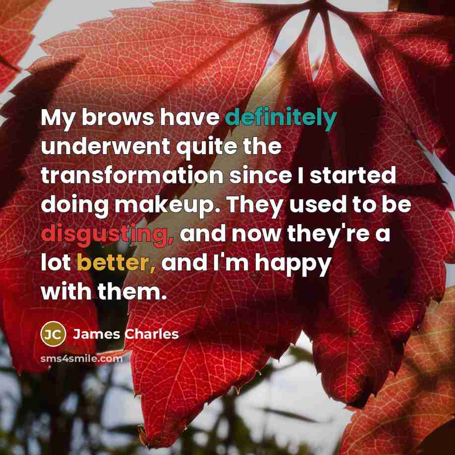 “My brows have definitely underwent quite the transformation since I started doing makeup. They used to be disgusting, and now they're a lot better, and I'm happy with them.” quote by James Charles