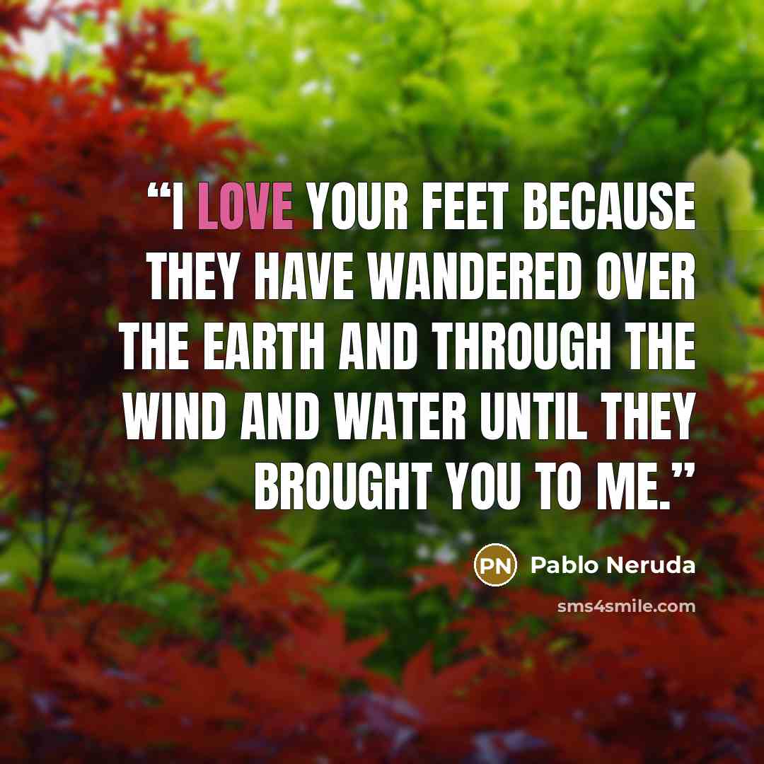 “I love your feet because they have wandered over the earth and through the wind and water until they brought you to me.” quote by Pablo Neruda