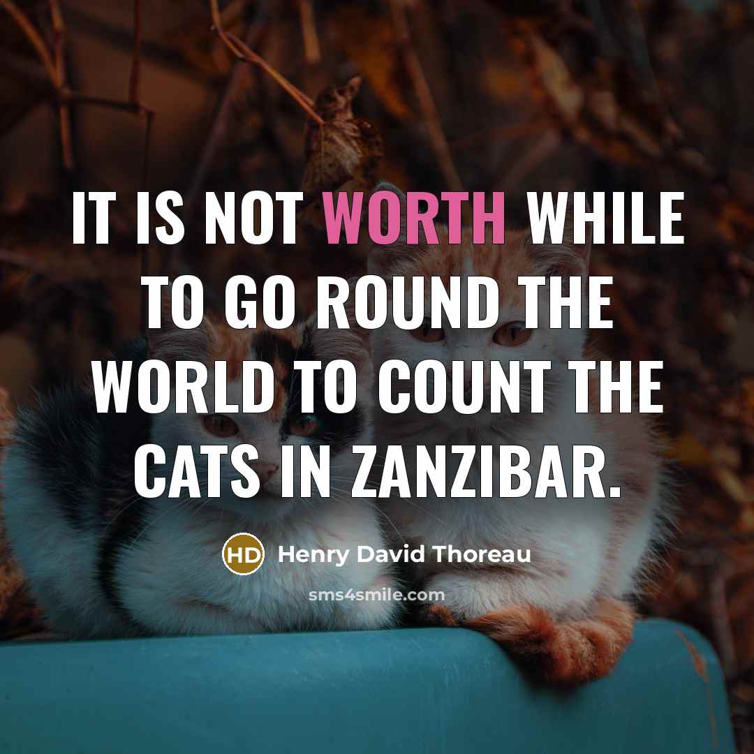 “It is not worth while to go round the world to count the cats in Zanzibar.” quote by Henry David Thoreau