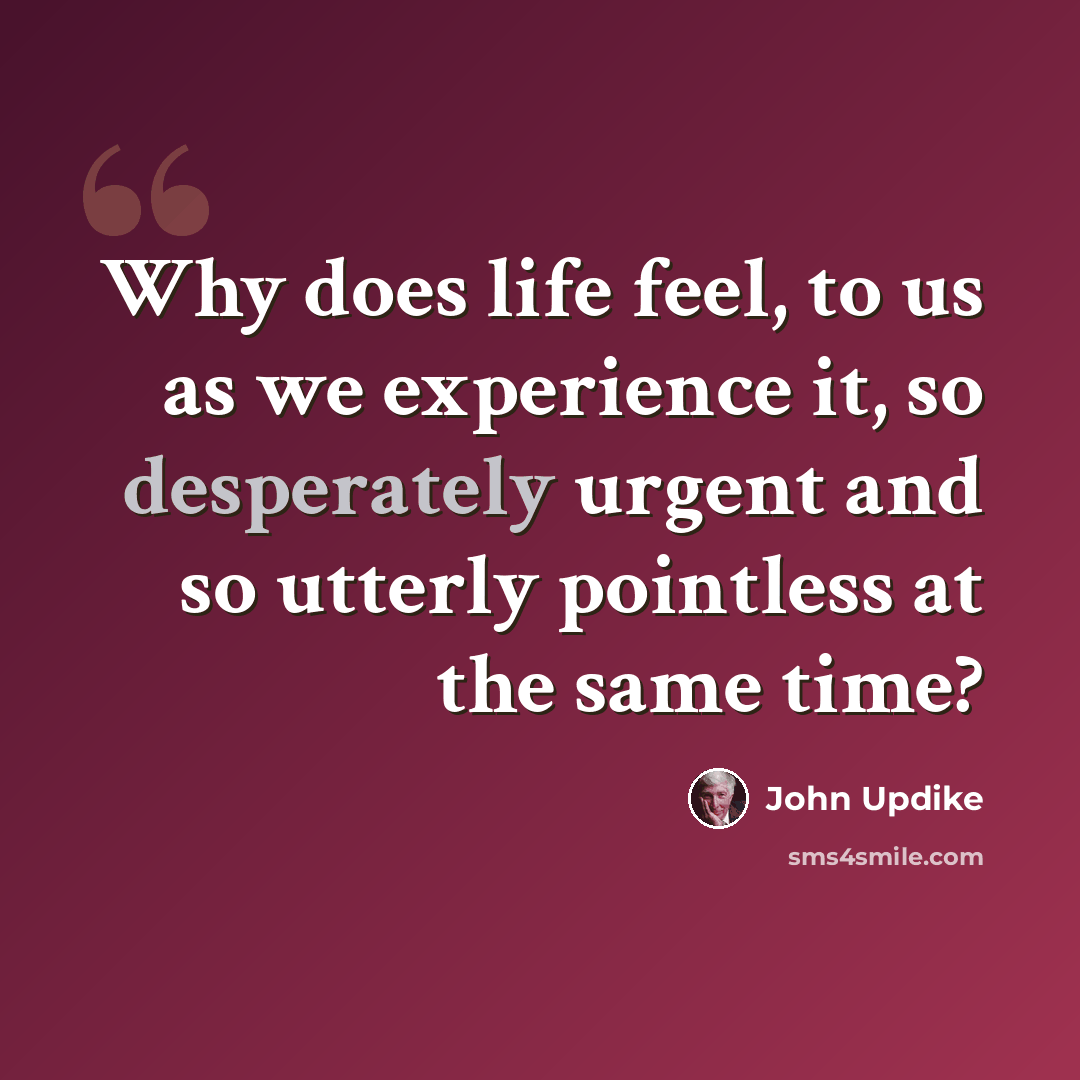 “Why does life feel, to us as we experience it, so desperately urgent and so utterly pointless at the same time?” quote by John Updike