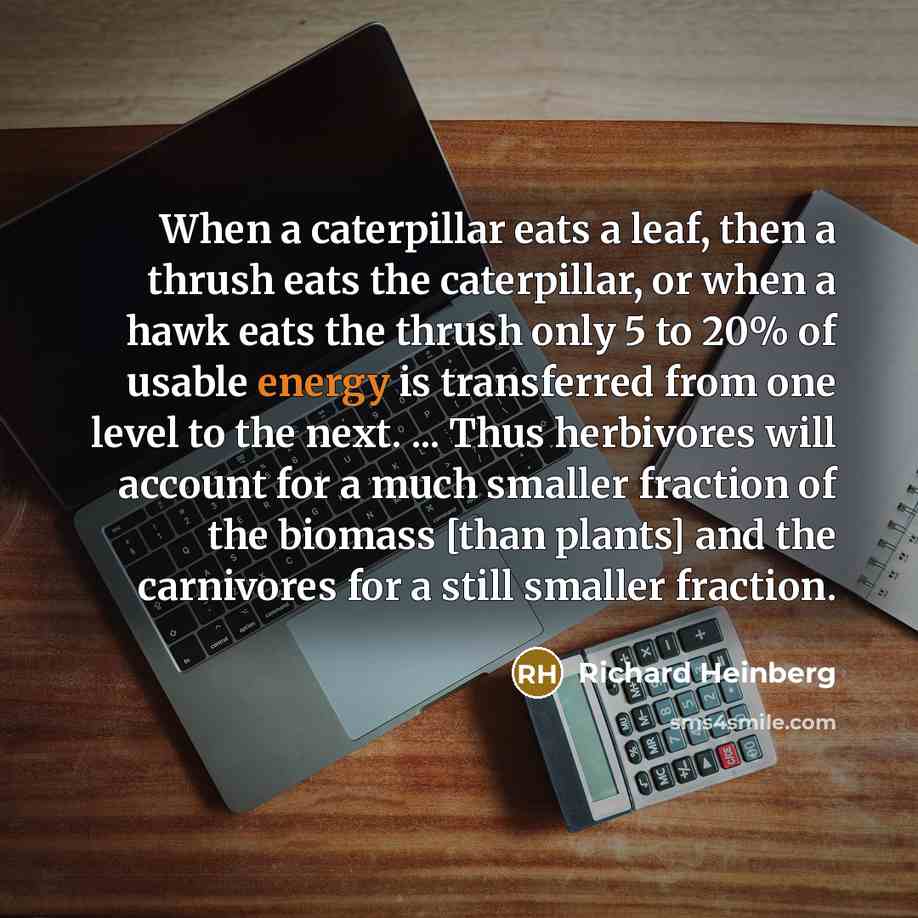 “When a caterpillar eats a leaf, then a thrush eats the caterpillar, or when a hawk eats the thrush only 5 to 20% of usable energy is transferred from one level to the next. ... Thus herbivores will account for a much smaller fraction of the biomass [than plants] and the carnivores for a still…” quote by Richard Heinberg