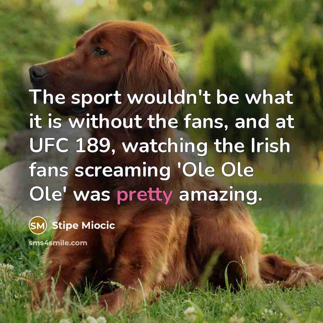 “The sport wouldn't be what it is without the fans, and at UFC 189, watching the Irish fans screaming 'Ole Ole Ole' was pretty amazing.” quote by Stipe Miocic