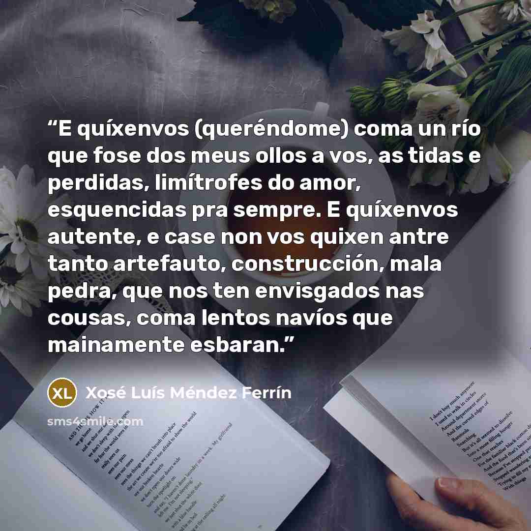 “E quíxenvos (queréndome) coma un río que fose dos meus ollos a vos, as tidas e perdidas, limítrofes do amor, esquencidas pra sempre. E quíxenvos autente, e case non vos quixen antre tanto artefauto, construcción, mala pedra, que nos ten envisgados nas cousas, coma lentos navíos que mainamente…” quote by Xosé Luís Méndez Ferrín