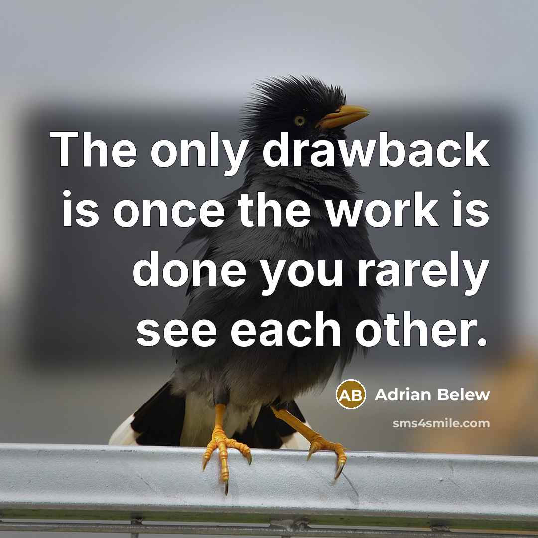 “The only drawback is once the work is done you rarely see each other.” quote by Adrian Belew