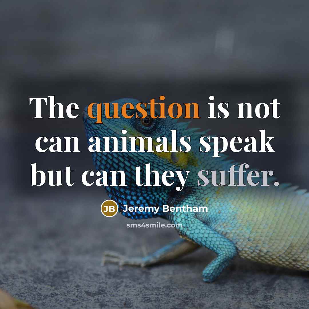 “The question is not can animals speak but can they suffer.” quote by Jeremy Bentham