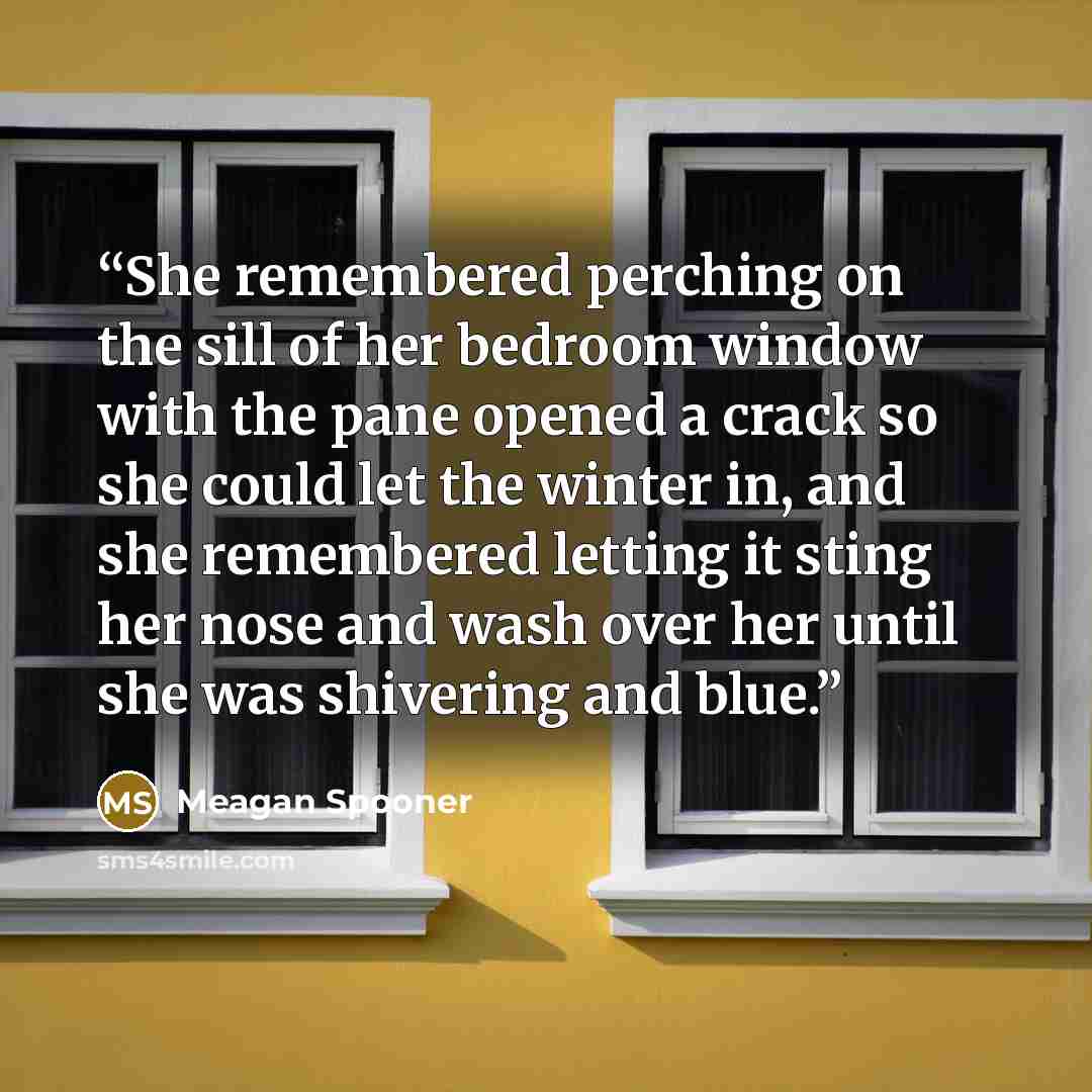 “She remembered perching on the sill of her bedroom window with the pane opened a crack so she could let the winter in, and she remembered letting it sting her nose and wash over her until she was shivering and blue.” quote by Meagan Spooner