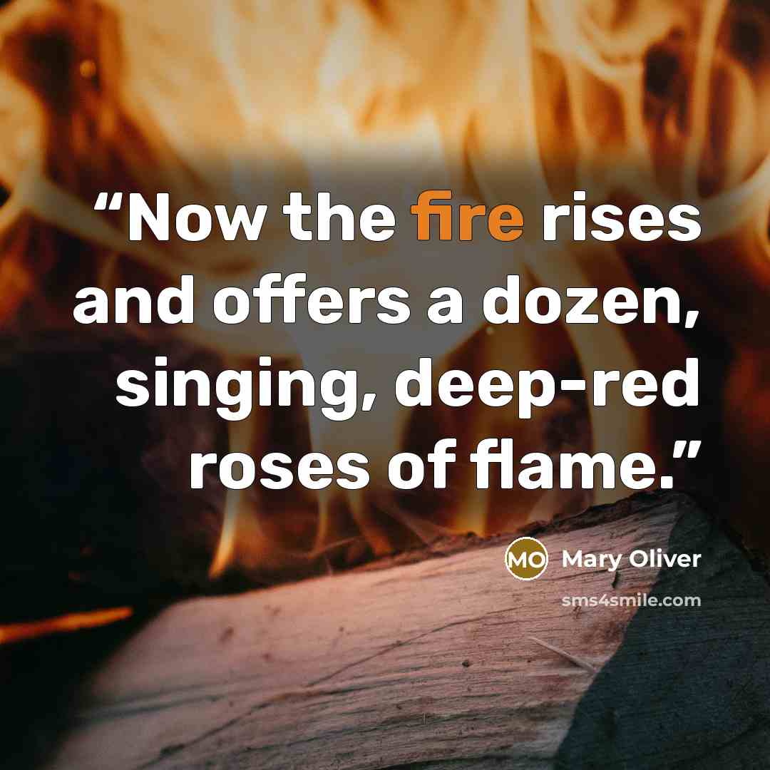 “Now the fire rises and offers a dozen, singing, deep-red roses of flame.” quote by Mary Oliver
