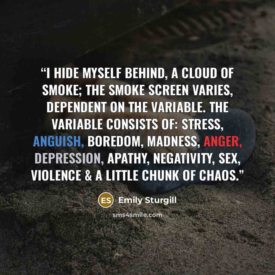 “I hide myself behind, a cloud of smoke; the smoke screen varies, dependent on the variable. The variable consists of: stress, anguish, boredom, madness, anger, depression, apathy, negativity, sex, violence & a little chunk of chaos.” quote by Emily Sturgill
