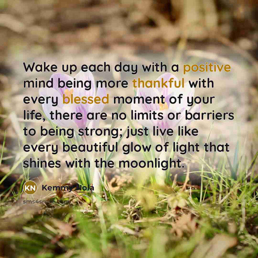 “Wake up each day with a positive mind being more thankful with every blessed moment of your life, there are no limits or barriers to being strong; just live like every beautiful glow of light that shines with the moonlight.” quote by Kemmy Nola