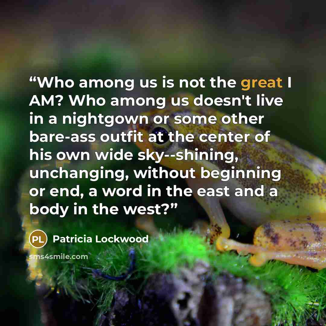 “Who among us is not the great I AM? Who among us doesn't live in a nightgown or some other bare-ass outfit at the center of his own wide sky--shining, unchanging, without beginning or end, a word in the east and a body in the west?” quote by Patricia Lockwood