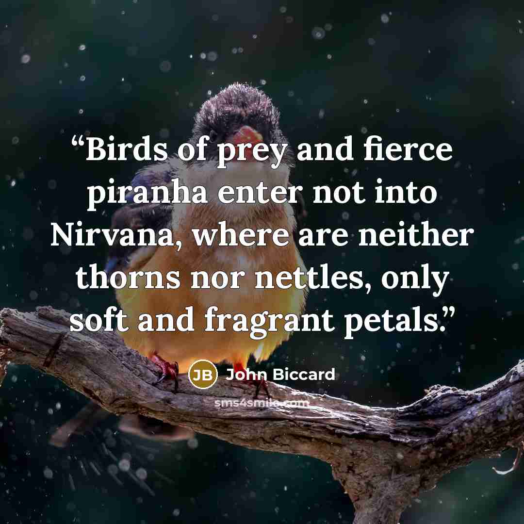 “Birds of prey and fierce piranha enter not into Nirvana, where are neither thorns nor nettles, only soft and fragrant petals.” quote by John Biccard