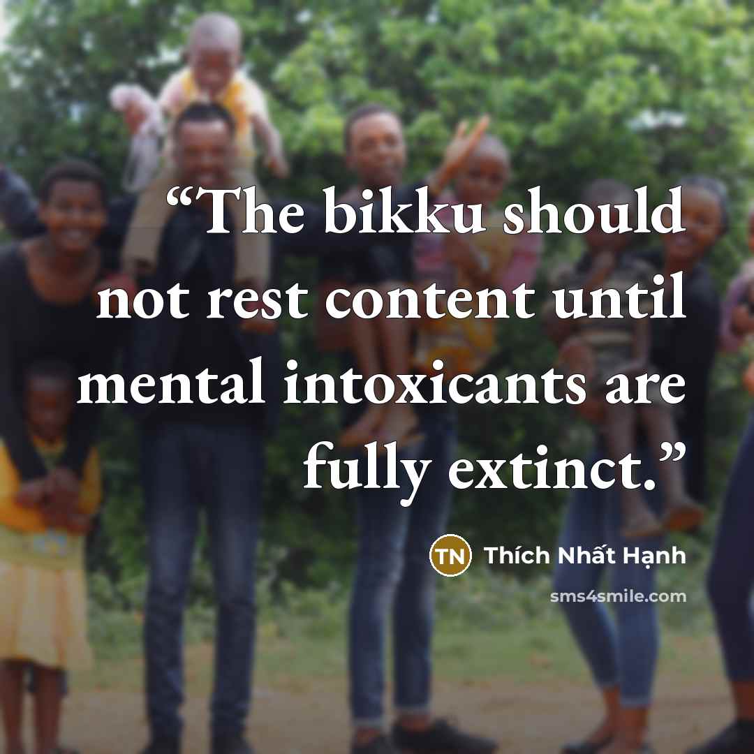 “The bikku should not rest content until mental intoxicants are fully extinct.” quote by Thích Nhất Hạnh