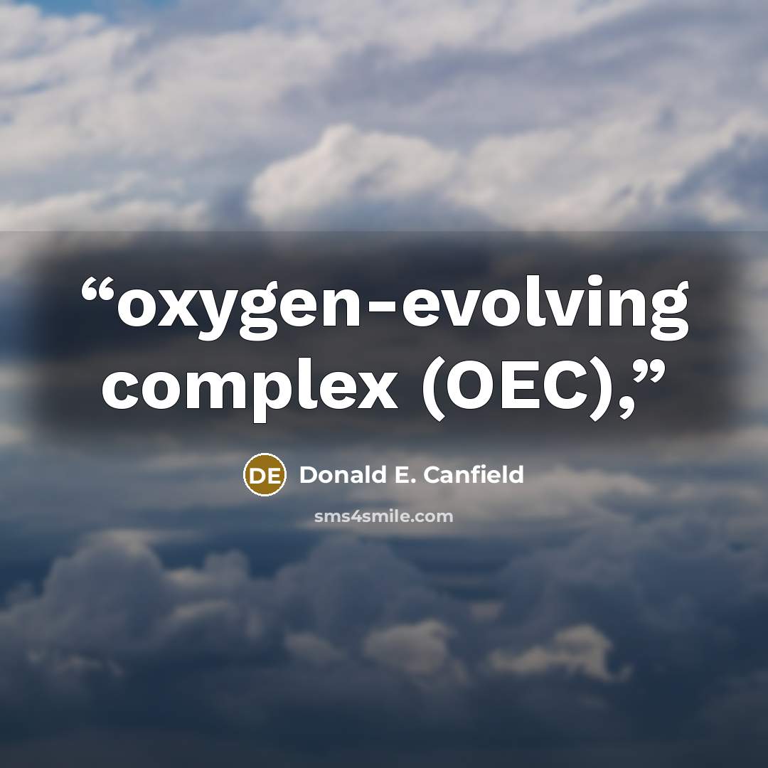 “oxygen-evolving complex (OEC),” quote by Donald E. Canfield