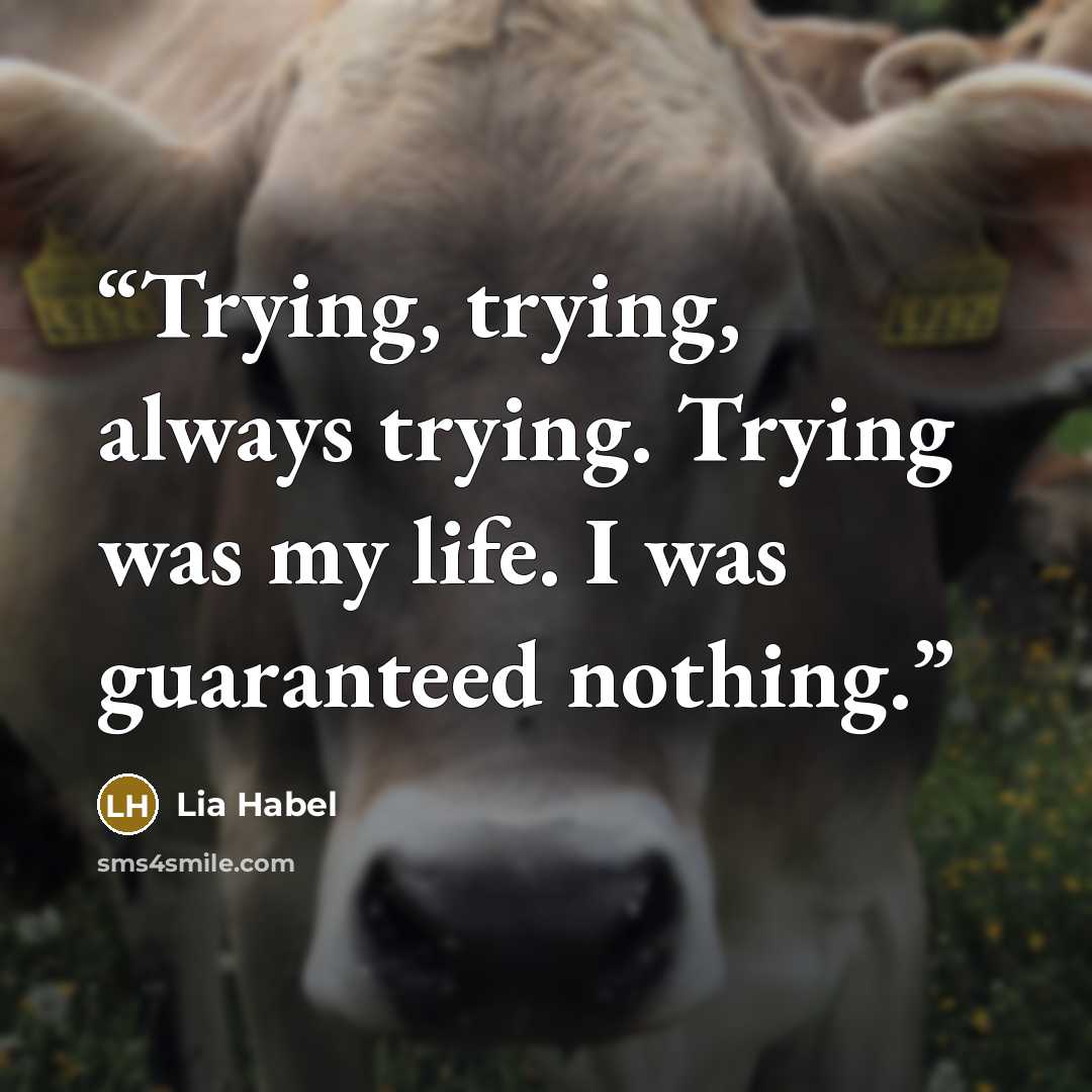 “Trying, trying, always trying. Trying was my life. I was guaranteed nothing.” quote by Lia Habel