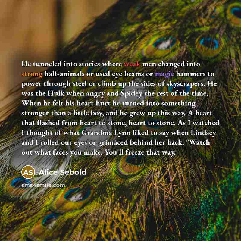 “He tunneled into stories where weak men changed into strong half-animals or used eye beams or magic hammers to power through steel or climb up the sides of skyscrapers. He was the Hulk when angry and Spidey the rest of the time. When he felt his heart hurt he turned into something stronger than a…” quote by Alice Sebold