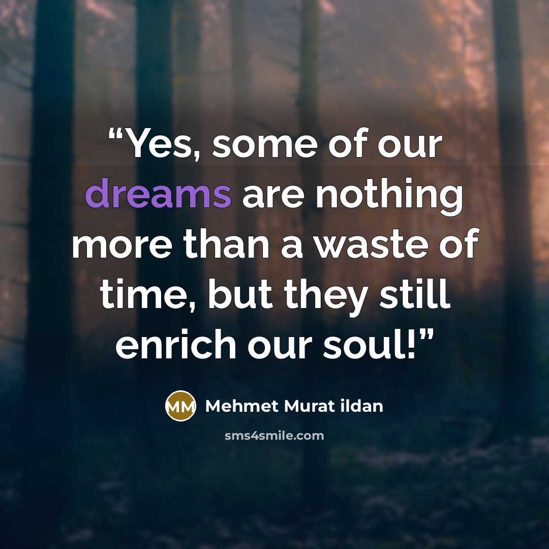“Yes, some of our dreams are nothing more than a waste of time, but they still enrich our soul!” quote by Mehmet Murat ildan