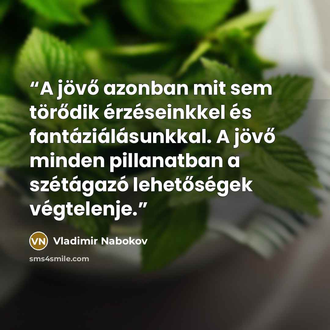 “A jövő azonban mit sem törődik érzéseinkkel és fantáziálásunkkal. A jövő minden pillanatban a szétágazó lehetőségek végtelenje.” quote by Vladimir Nabokov