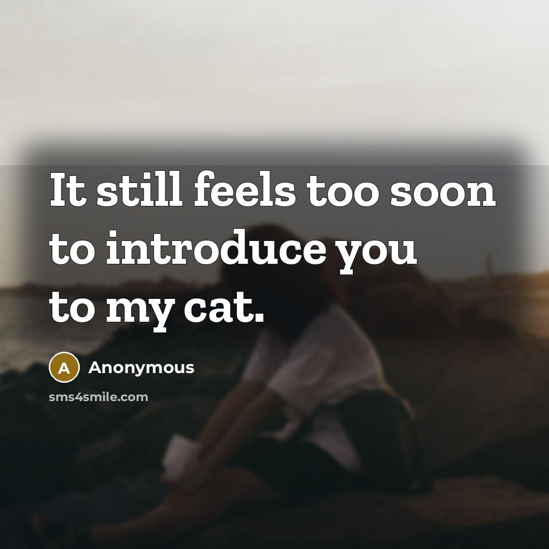 “It still feels too soon to introduce you to my cat.” quote by Anonymous