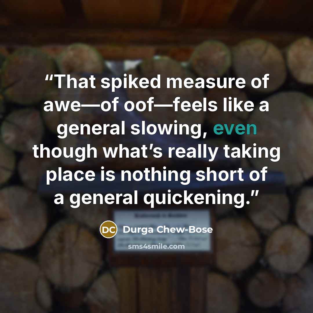 “That spiked measure of awe—of oof—feels like a general slowing, even though what’s really taking place is nothing short of a general quickening.” quote by Durga Chew-Bose