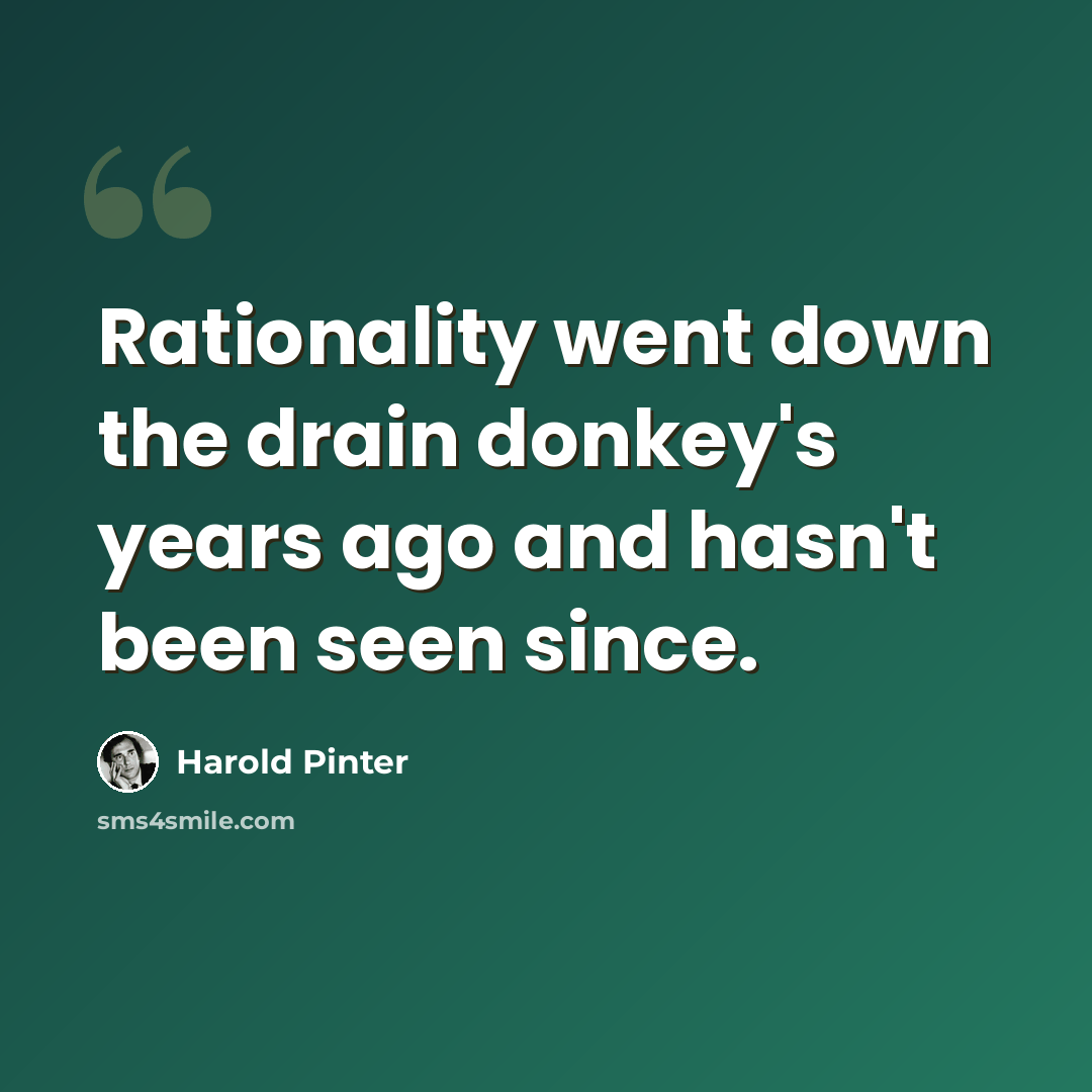 “Rationality went down the drain donkey's years ago and hasn't been seen since.” quote by Harold Pinter