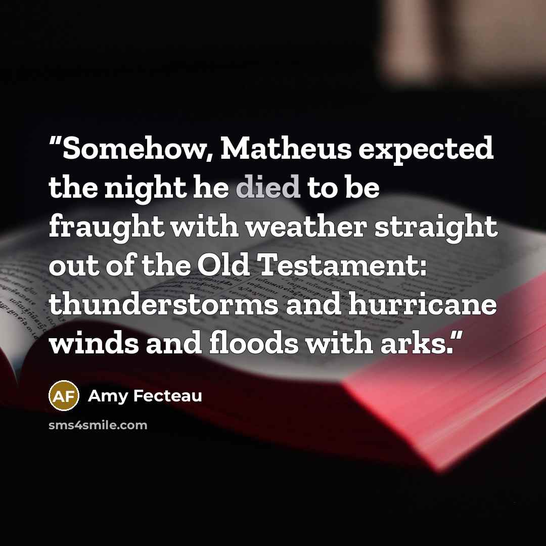 “Somehow, Matheus expected the night he died to be fraught with weather straight out of the Old Testament: thunderstorms and hurricane winds and floods with arks.” quote by Amy Fecteau