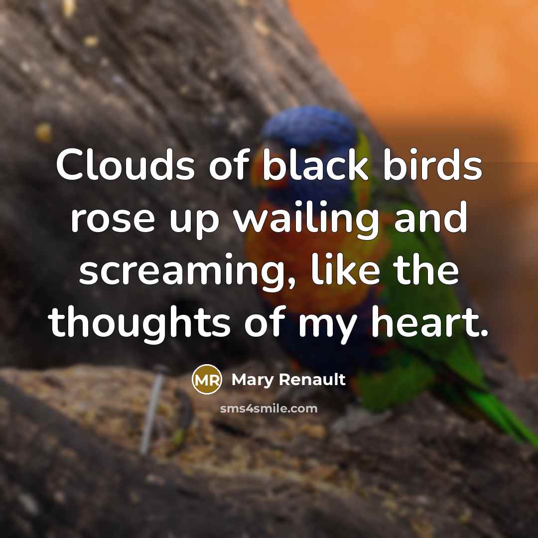 “Clouds of black birds rose up wailing and screaming, like the thoughts of my heart.” quote by Mary Renault