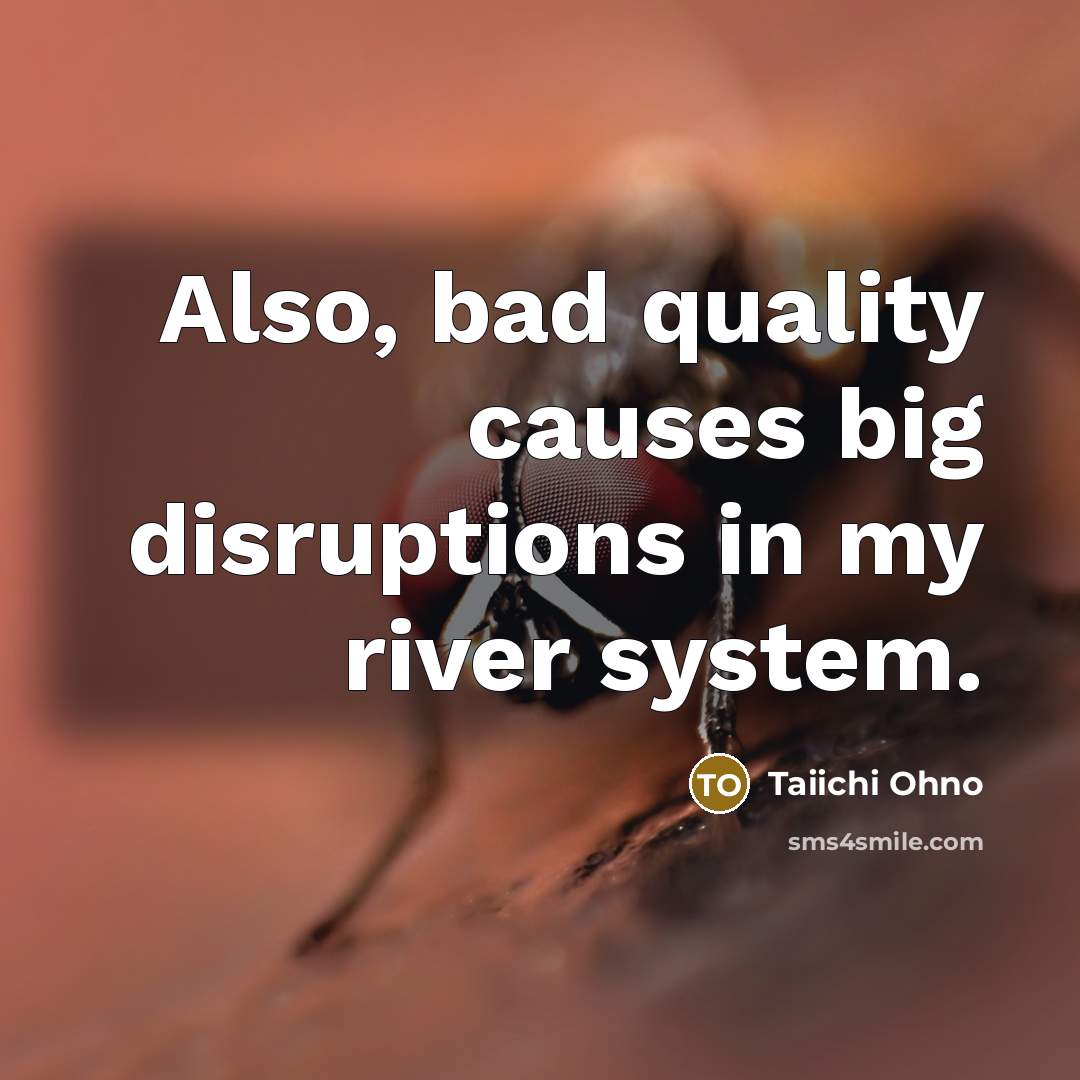 “Also, bad quality causes big disruptions in my river system.” quote by Taiichi Ohno