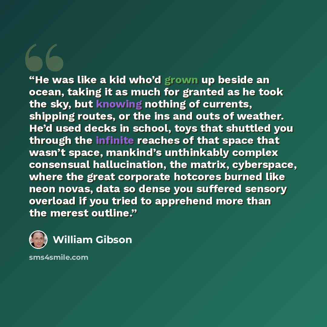 “He was like a kid who’d grown up beside an ocean, taking it as much for granted as he took the sky, but knowing nothing of currents, shipping routes, or the ins and outs of weather. He’d used decks in school, toys that shuttled you through the infinite reaches of that space that wasn’t space…” quote by William Gibson