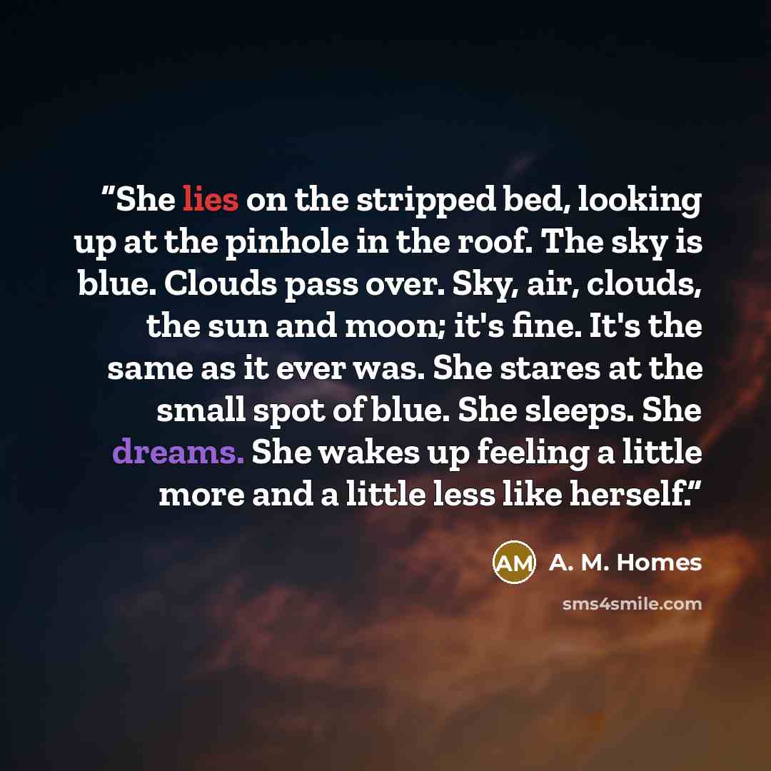 “She lies on the stripped bed, looking up at the pinhole in the roof. The sky is blue. Clouds pass over. Sky, air, clouds, the sun and moon; it's fine. It's the same as it ever was. She stares at the small spot of blue. She sleeps. She dreams. She wakes up feeling a little more and a little less…” quote by A. M. Homes
