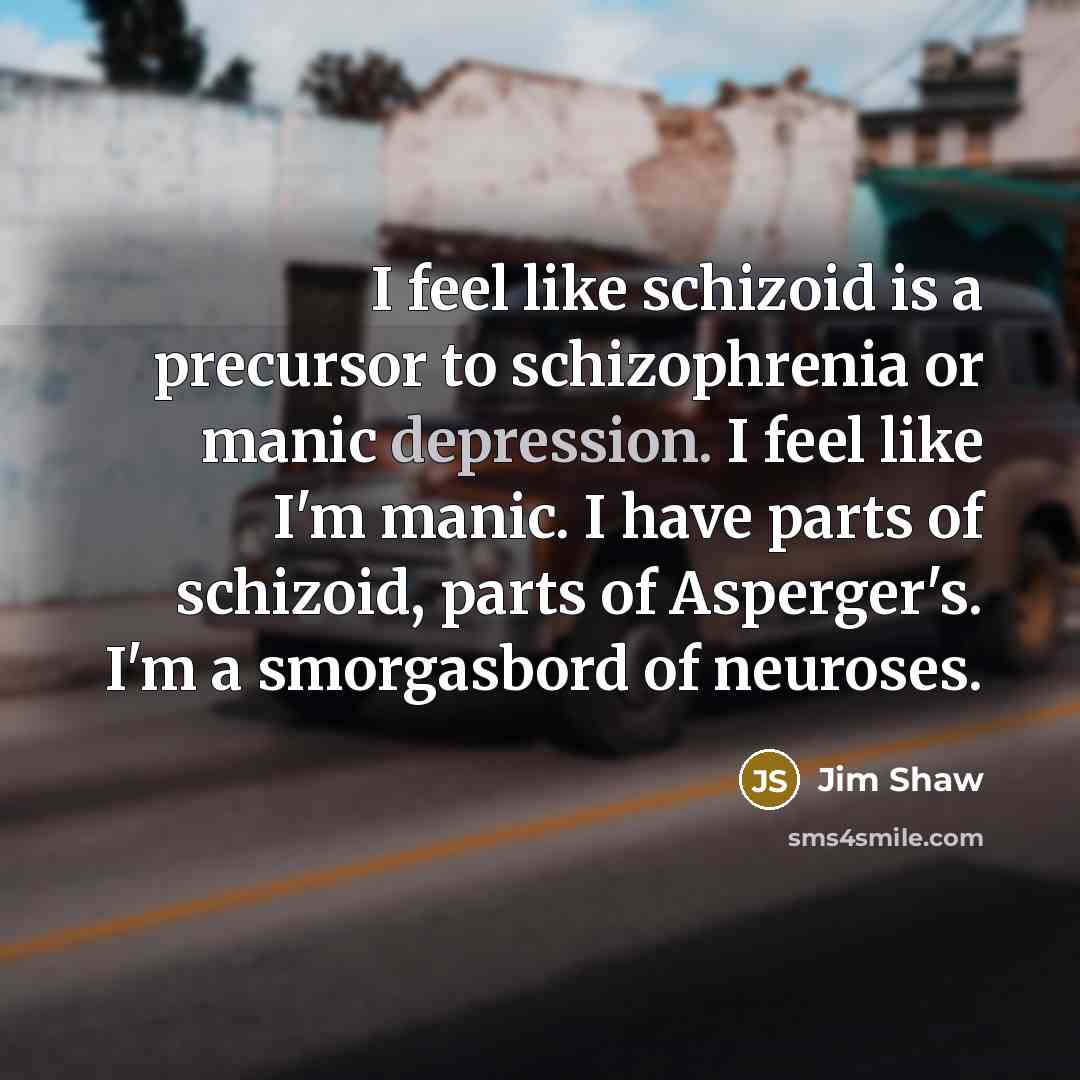 “I feel like schizoid is a precursor to schizophrenia or manic depression. I feel like I'm manic. I have parts of schizoid, parts of Asperger's. I'm a smorgasbord of neuroses.” quote by Jim Shaw