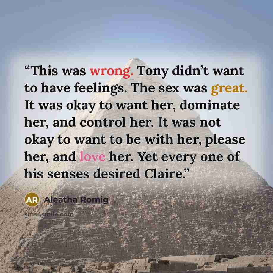 “This was wrong. Tony didn’t want to have feelings. The sex was great. It was okay to want her, dominate her, and control her. It was not okay to want to be with her, please her, and love her. Yet every one of his senses desired Claire.” quote by Aleatha Romig