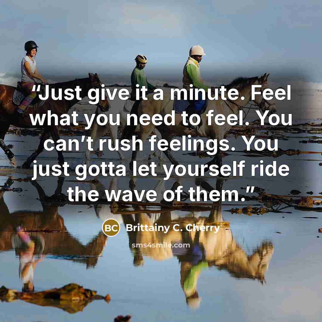 “Just give it a minute. Feel what you need to feel. You can’t rush feelings. You just gotta let yourself ride the wave of them.” quote by Brittainy C. Cherry