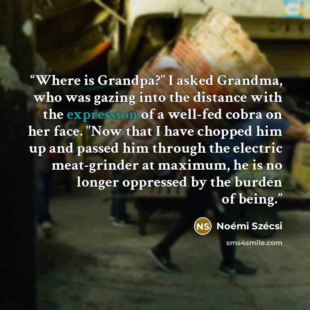 “Where is Grandpa?" I asked Grandma, who was gazing into the distance with the expression of a well-fed cobra on her face. "Now that I have chopped him up and passed him through the electric meat-grinder at maximum, he is no longer oppressed by the burden of being.” quote by Noémi Szécsi